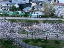 【大阪府/吹田市垂水町】ステイツグラン吹田垂水町 