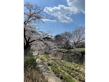 【兵庫県/西宮市神園町】夙川苦楽園口レジデンス 