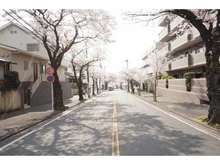 【神奈川県/横浜市青葉区桜台】青葉台ヒルズ 