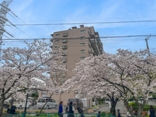 【千葉県/市川市幸】サニーハウス南行徳 B棟 