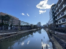 【東京都/江東区木場】プラウドタワー木場公園 