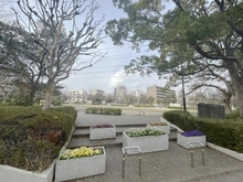 【東京都/江戸川区西葛西】リビオシティ西葛西親水公園 