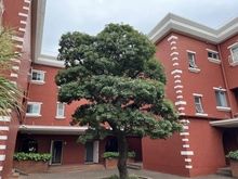 【東京都/大田区山王】ドルチェ大森山王 