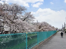 【神奈川県/川崎市中原区木月住吉町】プロスタイル元住吉 