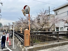【神奈川県/川崎市中原区木月住吉町】プロスタイル元住吉 