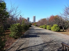 【東京都/江東区辰巳】グランソシア辰巳の森海浜公園 