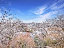 【東京都/日野市日野本町】レクセルヒルズ日野 
