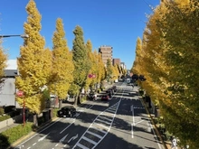 【東京都/八王子市台町】ウィル・ビラ2 