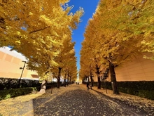 【東京都/昭島市宮沢町】パークホームズ昭島中神 