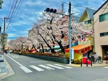 【東京都/大田区南馬込】ヴィークステージ南馬込　桜並木通り 