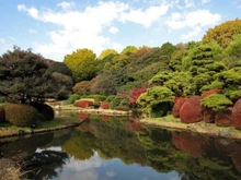 【東京都/文京区小石川】リビオレゾン小石川 