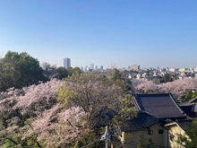 【東京都/北区赤羽西】ディアシティ赤羽 
