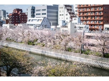 【東京都/江東区牡丹】ヴェレーナグラン門前仲町 