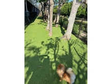 【千葉県/千葉市美浜区浜田】コロンブスシティ 