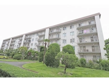 【千葉県/習志野市谷津】谷津遊園ハイツ F棟 