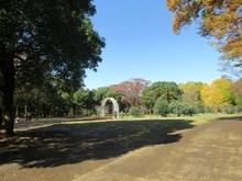 【東京都/渋谷区富ヶ谷】キャニオングランデ代々木公園 