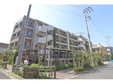 【東京都/板橋区蓮根】エコヴィレッジ蓮根みなみ公園 