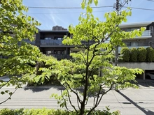 【東京都/品川区上大崎】グランヴェール長者丸 
