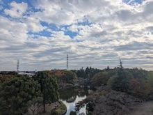 【神奈川県/相模原市中央区鹿沼台】鹿沼公園ハイリビング 