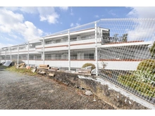 【東京都/町田市玉川学園】アデニウム玉川学園 