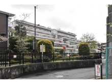 【東京都/町田市玉川学園】アデニウム玉川学園 
