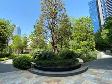 【東京都/新宿区西新宿】ザ・パークハウス西新宿タワー60 