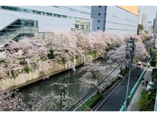 【東京都/目黒区下目黒】パークナード目黒 