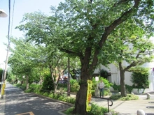 【東京都/世田谷区深沢】深沢ハイム 