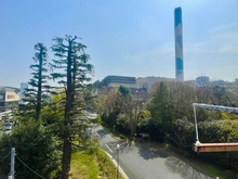 【東京都/世田谷区大蔵】砧公園ヒミコマンション 