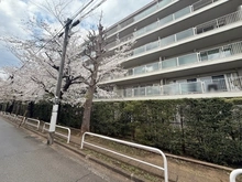 【東京都/中野区白鷺】白鷺ハイム1号棟 