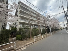【東京都/中野区白鷺】白鷺ハイム1号棟 