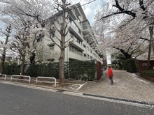【東京都/中野区白鷺】白鷺ハイム1号棟 