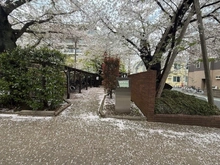 【東京都/中野区白鷺】白鷺ハイム1号棟 