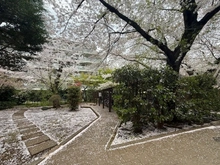 【東京都/中野区白鷺】白鷺ハイム1号棟 
