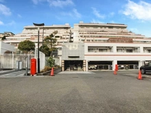 【東京都/町田市玉川学園】アデニウム玉川学園 