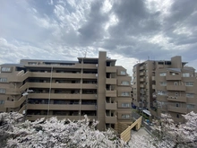 【埼玉県/蕨市南町】ヴィ―クコート蕨南桜並木 