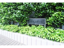 【神奈川県/川崎市中原区今井南町】ハウス武蔵小杉 