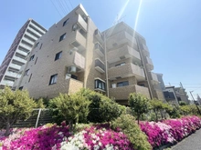 【東京都/葛飾区青戸】ライオンズマンション青戸第3 