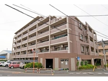 【埼玉県/朝霞市膝折町】コスモ朝霞エクセラ 
