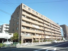 【東京都/江東区辰巳】グランシティ辰巳の森海浜公園 