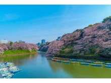 【東京都/千代田区飯田橋】アルビオ・ザ・タワー千代田飯田橋 