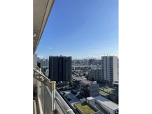 【東京都/江東区亀戸】ラフィーネハイツ 