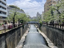 【東京都/目黒区大橋】ローレルアイ目黒大橋 