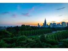 【東京都/新宿区南元町】プレミアスイート外苑の杜 