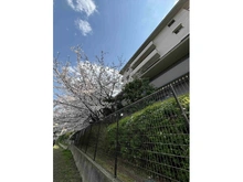 【京都府/京都市伏見区紙子屋町】イニシア伏見丹波橋 