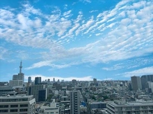 【東京都/江東区大島】ザ・ガーデンタワーズ 