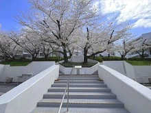 【神奈川県/横浜市青葉区桜台】桜台ビレジ 