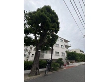 【東京都/港区三田】パシフィック魚籃坂 