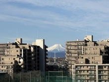 【東京都/東村山市富士見町】ファインシティ武蔵野富士見 