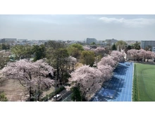 【東京都/東村山市富士見町】ファインシティ武蔵野富士見 